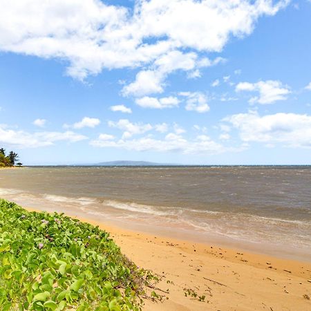 Gorgeous Oceanfront Condo With Spectacular Views! 키헤이 외부 사진