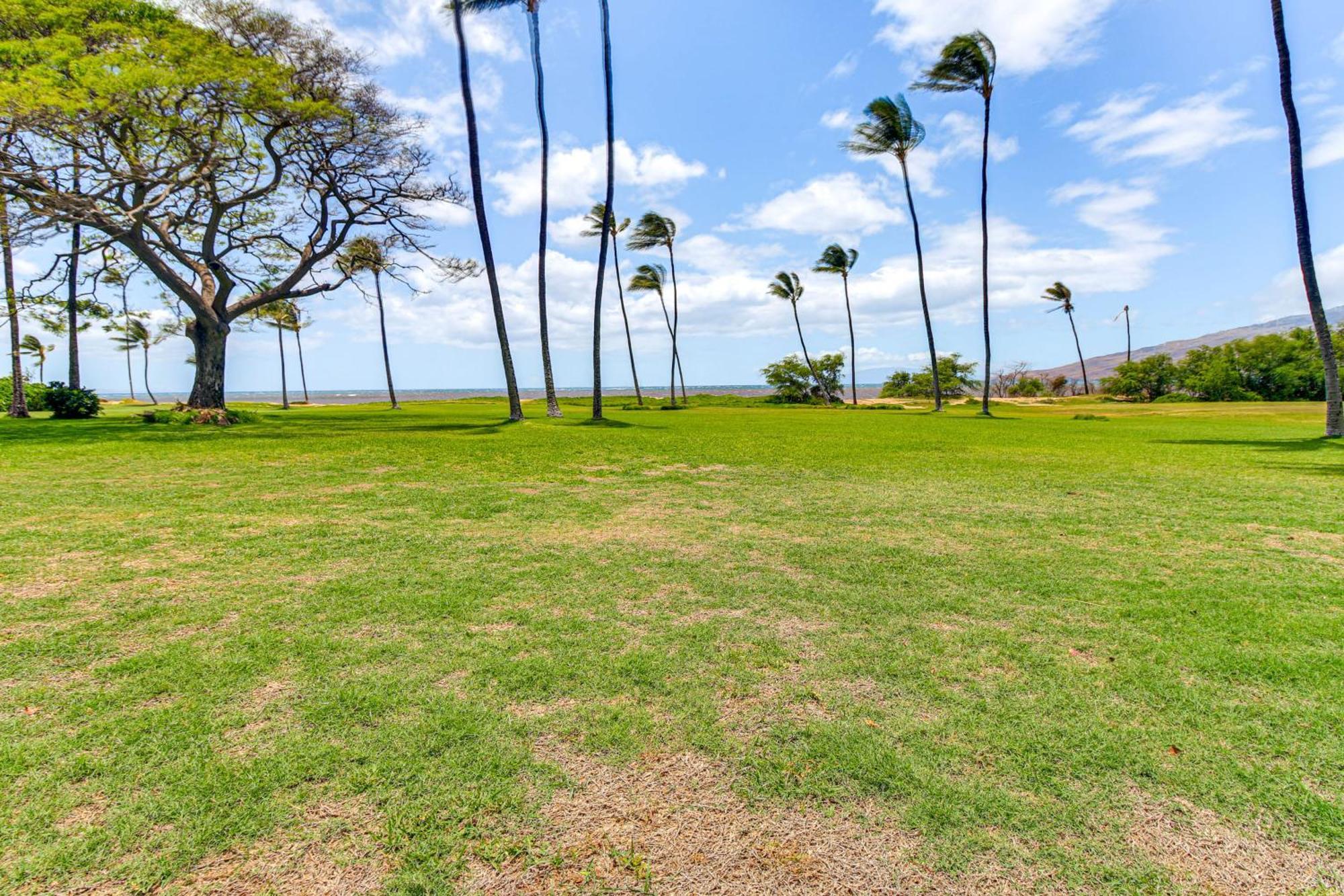 Gorgeous Oceanfront Condo With Spectacular Views! 키헤이 외부 사진
