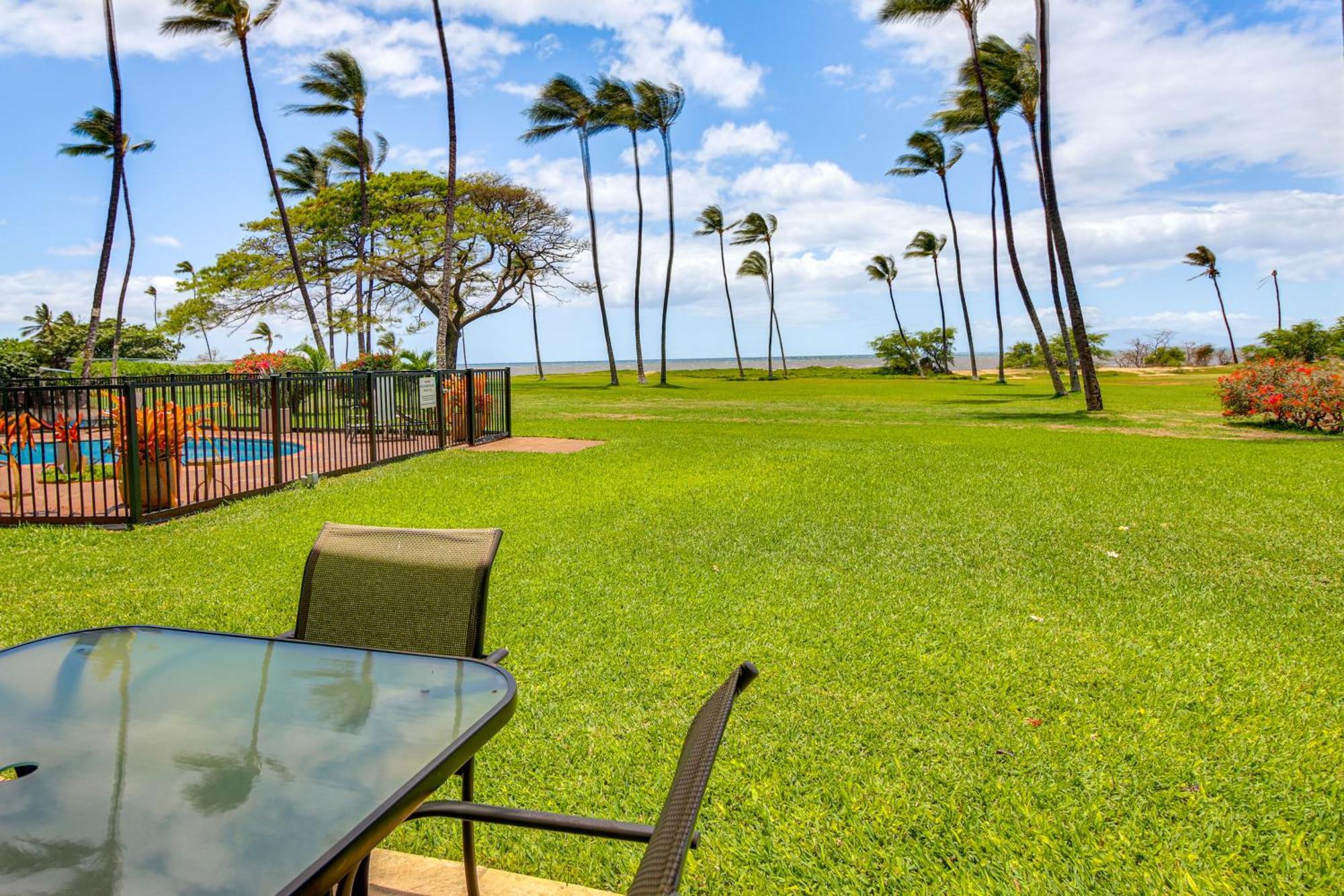 Gorgeous Oceanfront Condo With Spectacular Views! 키헤이 외부 사진